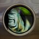 Illustration for article titled Scary creatures are hiding inside our washing machines